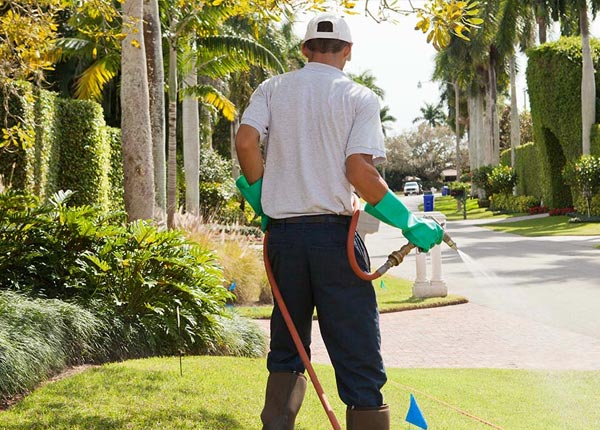 About Bandy VA Pest Control
